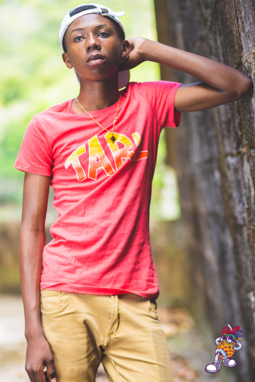 TiguanTeez Mens collection